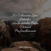 50 Colección Spa: Sonidos Ambientales Para Dormir Profundamente