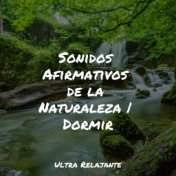 Sonidos Afirmativos de la Naturaleza | Dormir