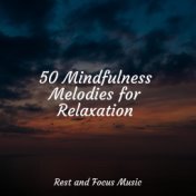 50 Mindfulness Melodies for Relaxation