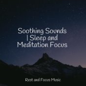 Soothing Sounds | Sleep and Meditation Focus