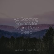 50 Soothing Sounds for Instant Deep Sleep