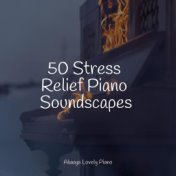 50 Stress Relief Piano Soundscapes