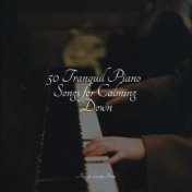 50 Tranquil Piano Songs for Calming Down