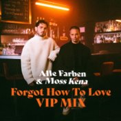 Forgot How to Love (VIP Mix)