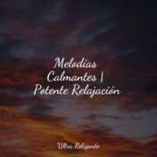 Melodías Calmantes | Potente Relajación