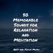 50 Memorable Sounds for Relaxation and Meditation