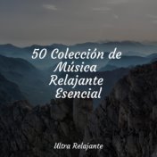 50 Colección de Música Relajante Esencial