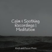 Calm & Soothing Recordings | Meditation