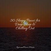 50 Sleepy Pieces for Deep Sleep & Chilling Out
