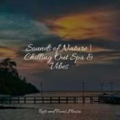 Sounds of Nature | Chilling Out Spa & Vibes