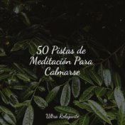 50 Pistas de Meditación Para Calmarse