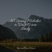 50 Spring Melodies to Drift O tore Study