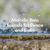 Melodic Rain Sounds for Peace and Calm