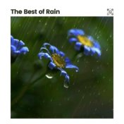 The Best of Rain