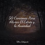 50 Canciones Para Aliviar El Estrés y la Ansiedad