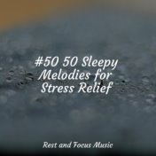 #50 50 Sleepy Melodies for Stress Relief