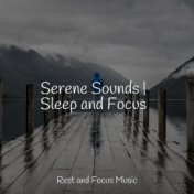 Serene Sounds | Sleep and Focus