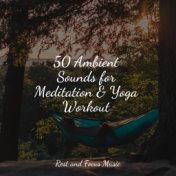 50 Ambient Sounds for Meditation & Yoga Workout