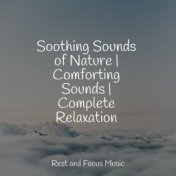 Soothing Sounds of Nature | Comforting Sounds | Complete Relaxation