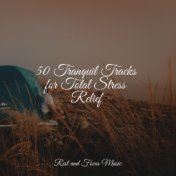 50 Tranquil Tracks for Total Stress Relief