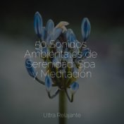 50 Sonidos Ambientales de Serenidad: Spa y Meditación