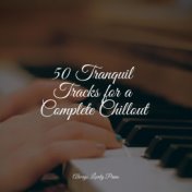 50 Tranquil Tracks for a Complete Chillout