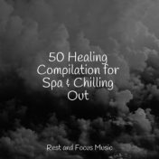 50 Healing Compilation for Spa & Chilling Out