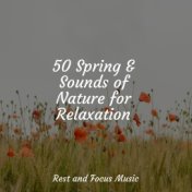 50 Spring & Sounds of Nature for Relaxation