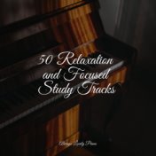 50 Relaxation and Focused Study Tracks