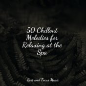 50 Chillout Melodies for Relaxing at the Spa