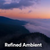 Refined Ambient