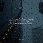 25 Calm & Soft Tracks for Continuous Rain