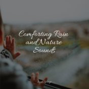 Comforting Rain and Nature Sounds