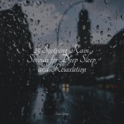 25 Soothing Rain Sounds for Deep Sleep and Relaxation