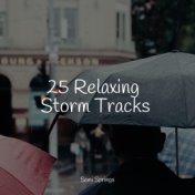 25 Relaxing Storm Tracks
