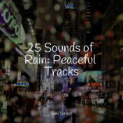 25 Sounds of Rain: Peaceful Tracks