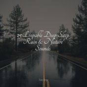 25 Loopable Deep Sleep Rain & Nature Sounds