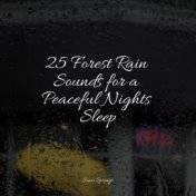 25 Forest Rain Sounds for a Peaceful Nights Sleep