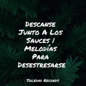 Descanse Junto A Los Sauces | Melodías Para Desestresarse