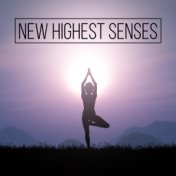 New Highest Senses (Miracle Meditation Session)