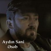 Aydin Sani