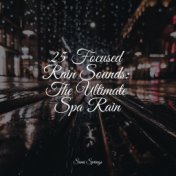 25 Focused Rain Sounds: The Ultimate Spa Rain