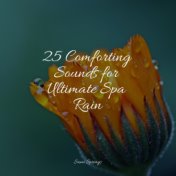 25 Comforting Sounds for Ultimate Spa Rain