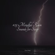 #25 Mindful Rain Sounds for Sleep
