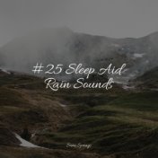 #25 Sleep Aid Rain Sounds