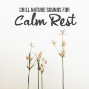 Chill Nature Sounds for Calm Rest (Nature Sounds for Deep Sleep, Soothing Dreaming, Relax the Mind, Inner Balance)