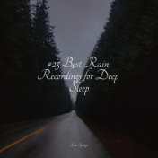 25 Powerful Rain Shower Album