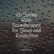 25 Spring Rain Soundscapes for Sleep and Relaxation