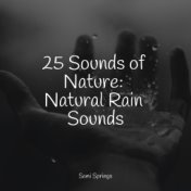 25 Sounds of Nature: Natural Rain Sounds