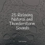 25 Meditation and Heavy Rainfall